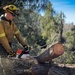 Community Wildfire Defense Grant
