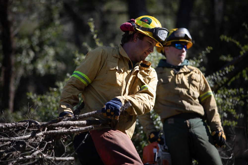 Community Wildfire Defense Grant