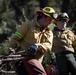 Community Wildfire Defense Grant