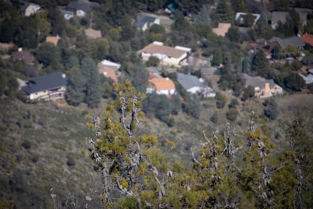 Community Wildfire Defense Grant