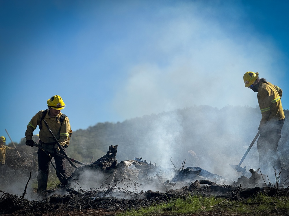 Community Wildfire Defense Grant
