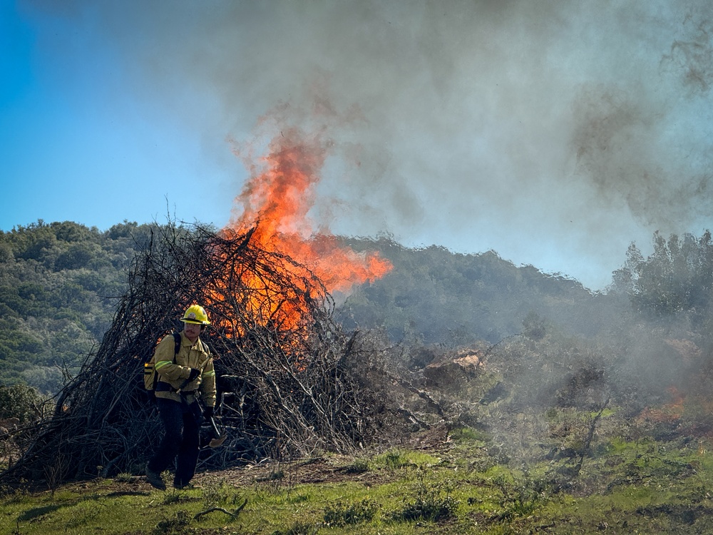 Community Wildfire Defense Grant