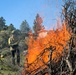 Community Wildfire Defense Grant