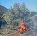 Community Wildfire Defense Grant