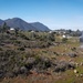 Community Wildfire Defense Grant