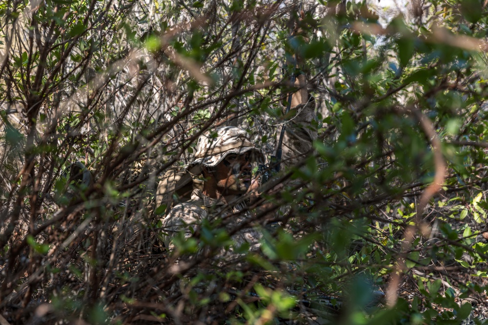 U.S. Marines with 2nd Bn., 4th Marines conduct patrol exercise