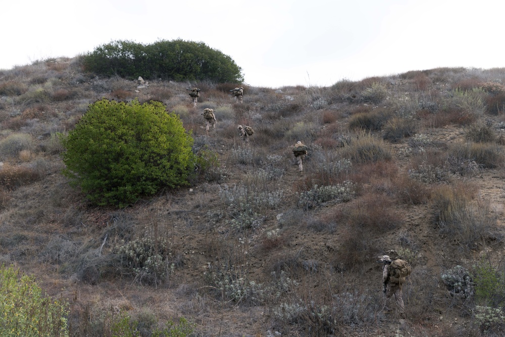 U.S. Marines with 2nd Bn., 4th Marines conduct patrol exercise