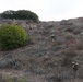 U.S. Marines with 2nd Bn., 4th Marines conduct patrol exercise