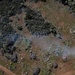 Community Wildfire Defense Grant