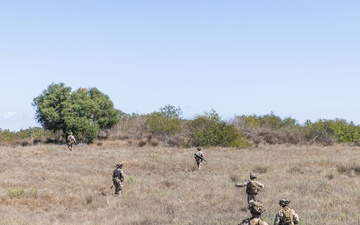 U.S. Marines with 2nd Bn., 4th Marines conduct patrol exercise