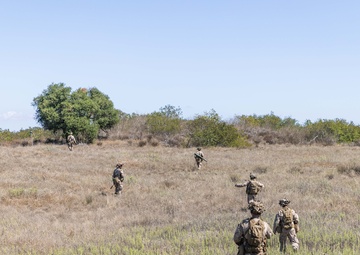 U.S. Marines with 2nd Bn., 4th Marines conduct patrol exercise