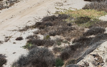 BLT 3/5 and V11 Marines conduct urban operations training and steep earth climbing during ACC