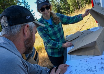 Seed Collecting on the Calaveras District
