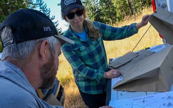 Seed Collecting on the Calaveras District
