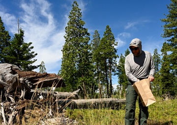 Seed Collecting on the Calaveras District