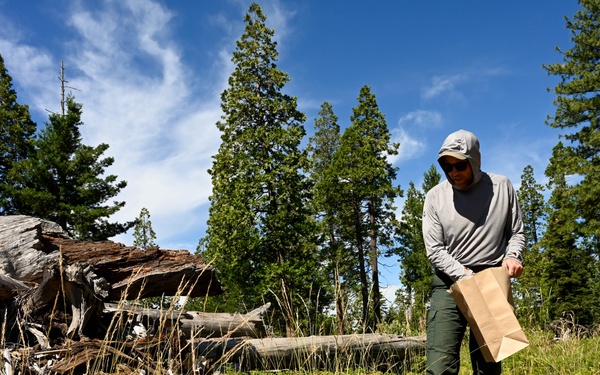 Seed Collecting on the Calaveras District