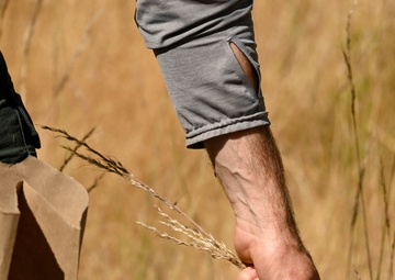 Seed Collecting on the Calaveras District