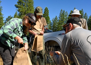Seed Collecting on the Calaveras District