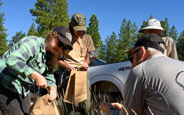 Seed Collecting on the Calaveras District