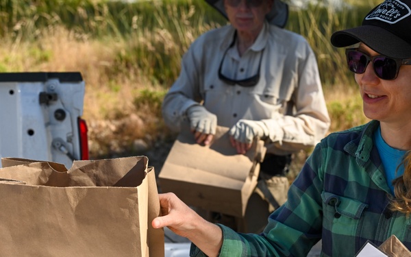 Seed Collecting on the Calaveras District