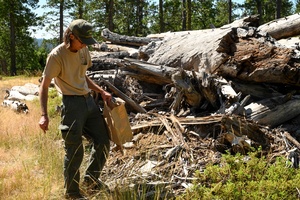 Soldiers Radio News