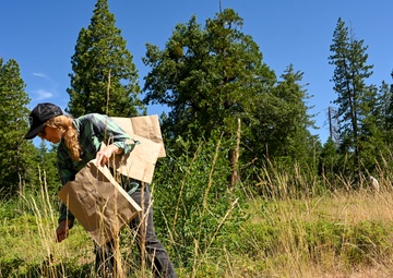 Seed Collecting on the Calaveras District