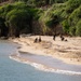 U.S. Marines conduct a beach landing site survey as part of Resolute Dragon 25