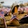 Boot Memorial: A Legacy of Every Step, Every Story Boot Memorial: A Legacy of Every Step, Every Story