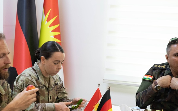 Coalition Forces Visit a Peshmerga Hospital