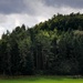 Thunder in Hohenfels: Troops Fire Up Howitzers During Saber Junction 25