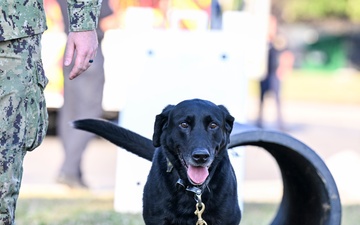 Naval Station Great Lakes Family Fun Night