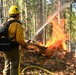 2025 Cedar Ridge Initial Ignitions