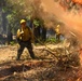 2025 Cedar Ridge Initial Ignitions