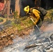 2025 Cedar Ridge Initial Ignitions
