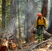 2025 Cedar Ridge Initial Ignitions