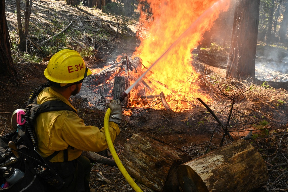 2025 Cedar Ridge Initial Ignitions