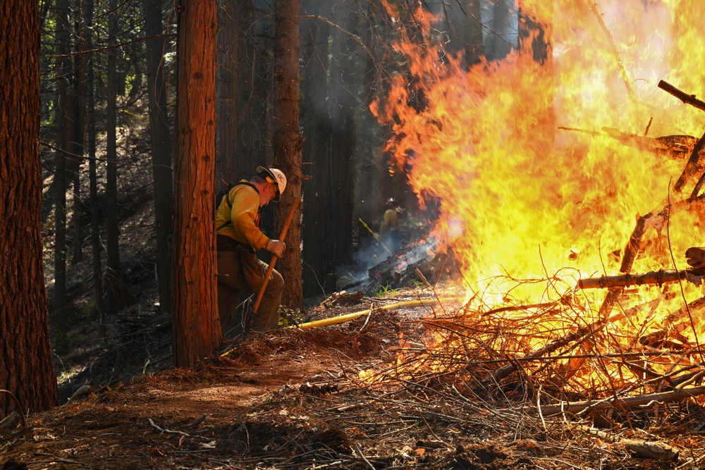 2025 Cedar Ridge Initial Ignitions