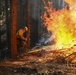 2025 Cedar Ridge Initial Ignitions
