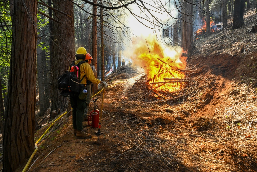 2025 Cedar Ridge Initial Ignitions
