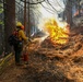 2025 Cedar Ridge Initial Ignitions