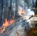 2025 Cedar Ridge Initial Ignitions