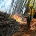 2025 Cedar Ridge Initial Ignitions