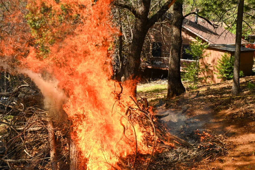 2025 Cedar Ridge Initial Ignitions