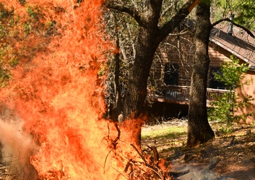 2025 Cedar Ridge Initial Ignitions