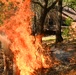 2025 Cedar Ridge Initial Ignitions