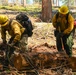 2025 Cedar Ridge Initial Ignitions