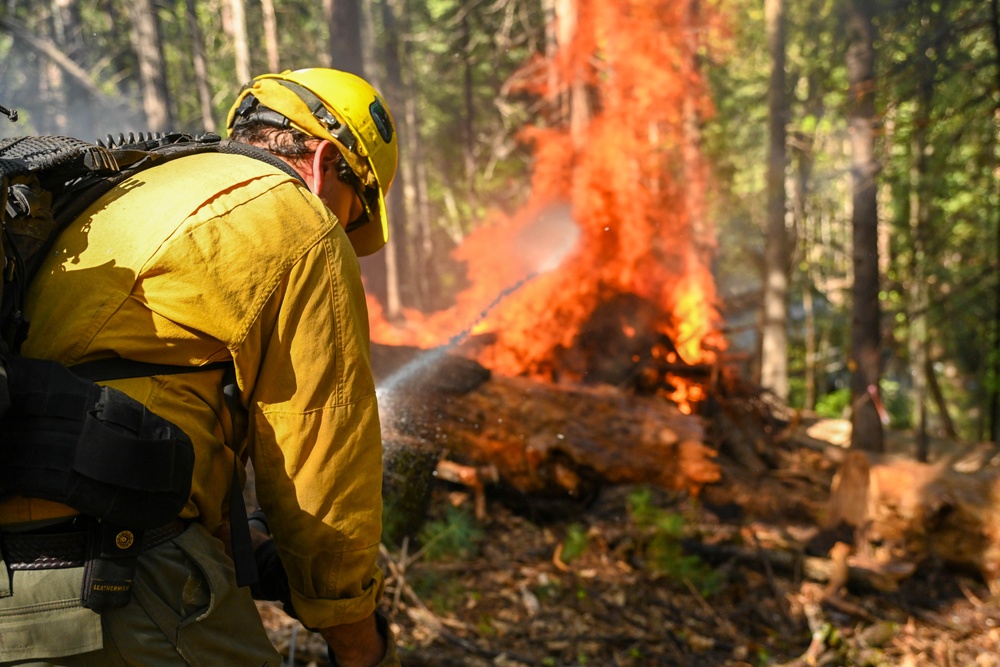 2025 Cedar Ridge Initial Ignitions