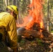 2025 Cedar Ridge Initial Ignitions