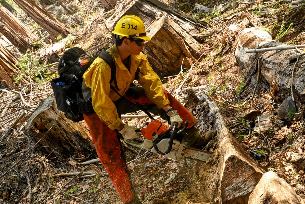 2025 Cedar Ridge Initial Ignitions