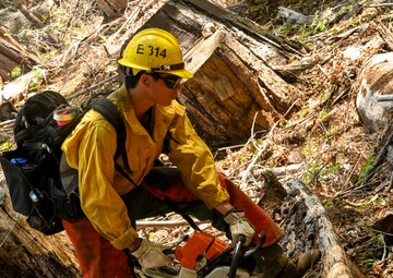 2025 Cedar Ridge Initial Ignitions